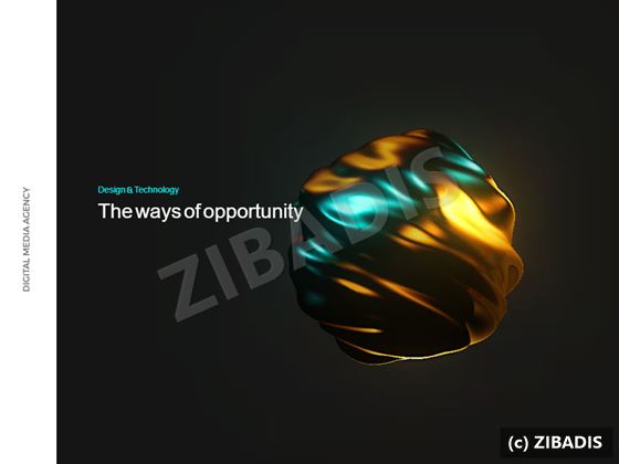 Sample of web app development work by ZIBADIS
