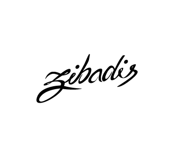 zibadis-typo.png