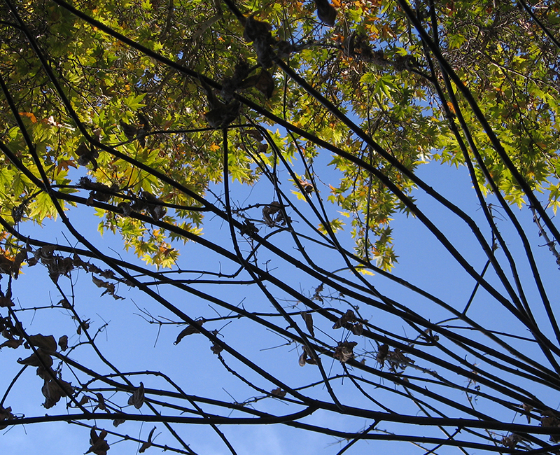 Photo 00001