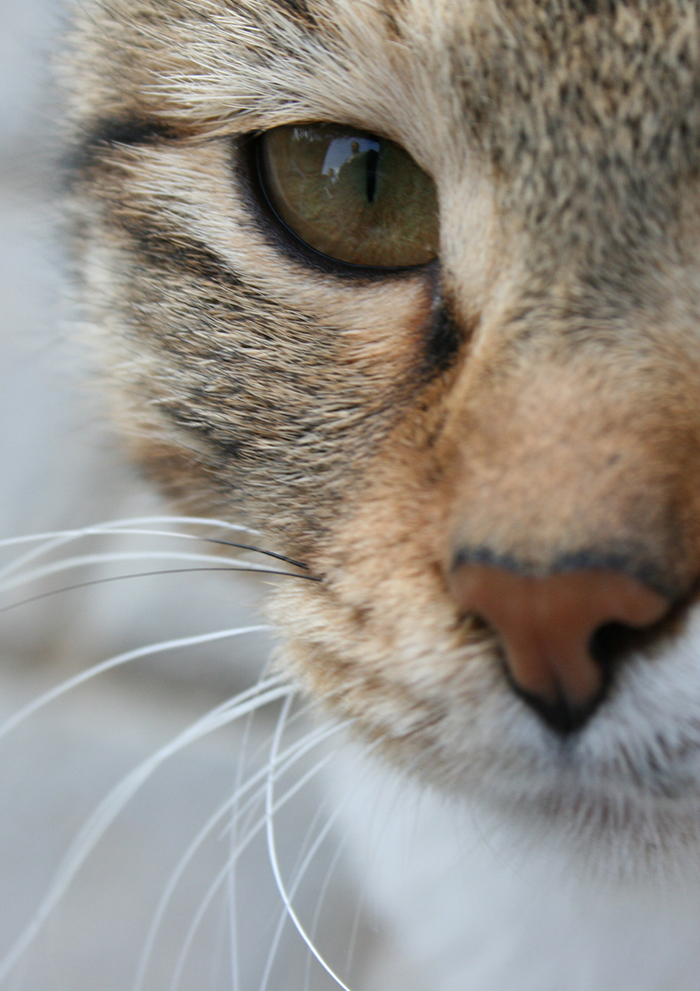 Photo 00005