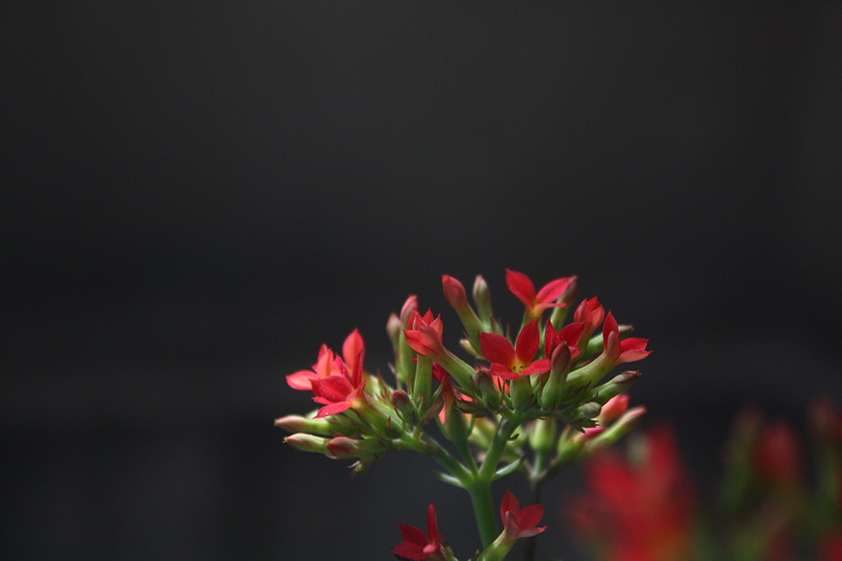 Photo 00014