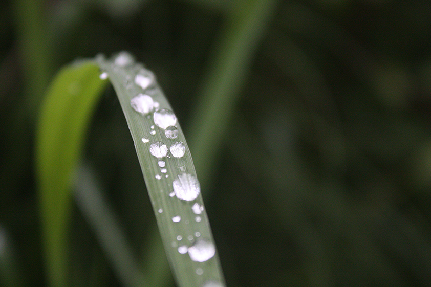 Photo 00015
